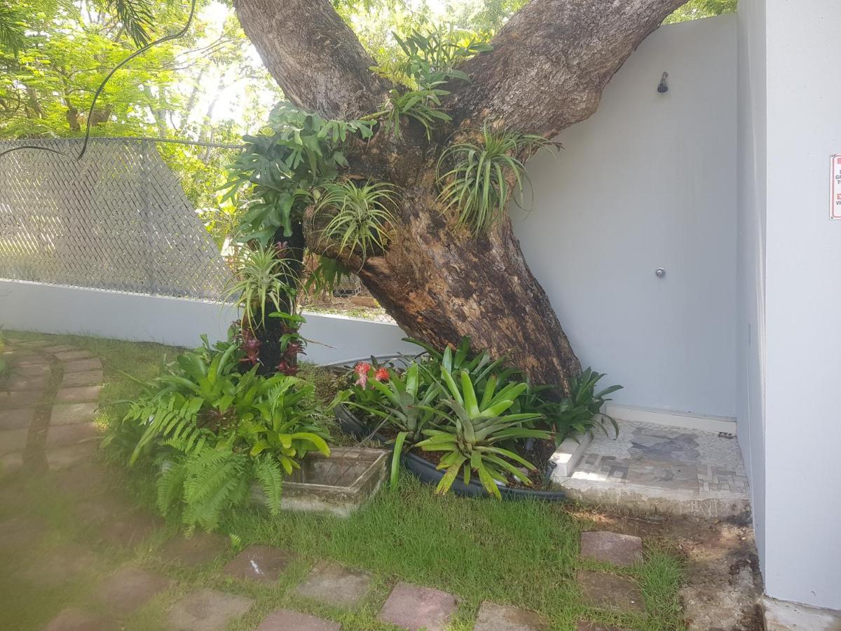 Always Summer Inn Isla Culebra Exterior foto