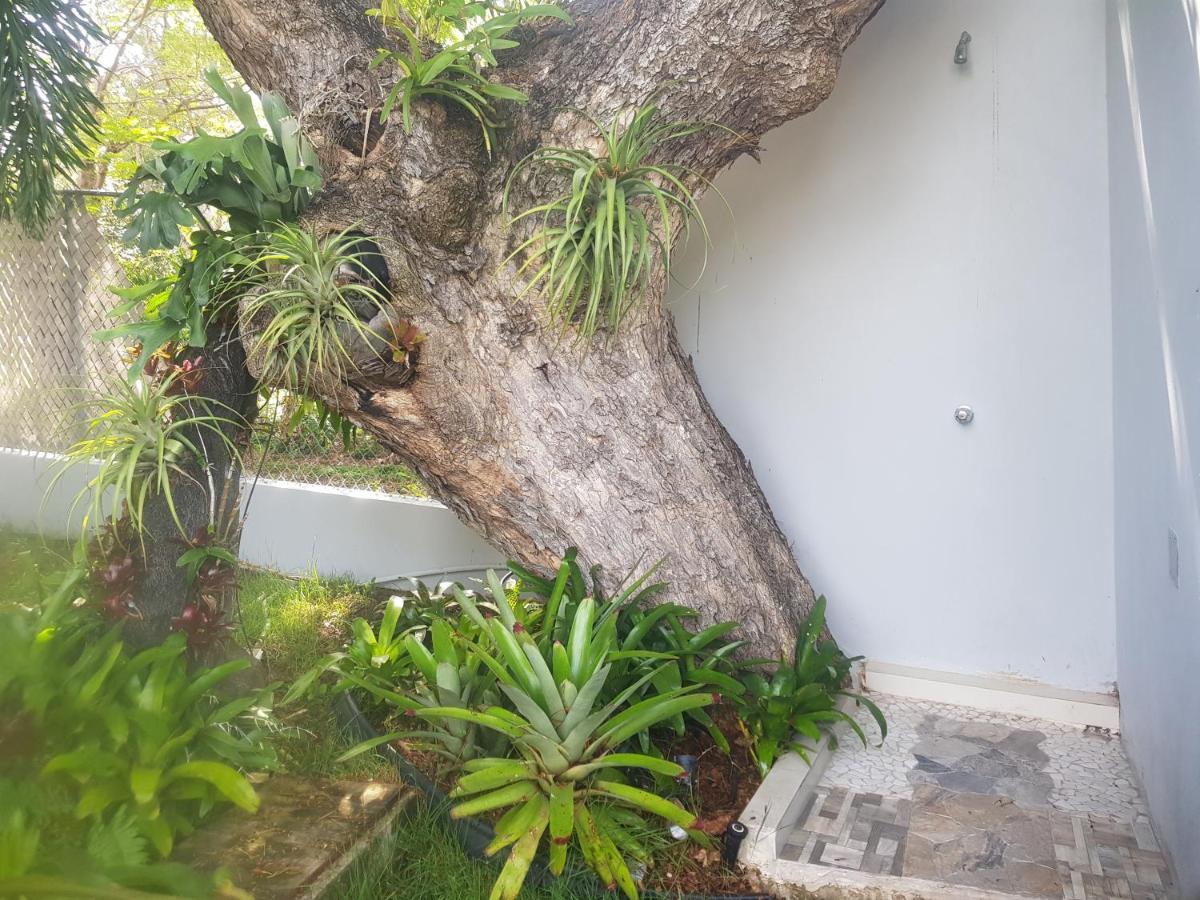 Always Summer Inn Isla Culebra Exterior foto